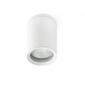 Faro Tasa Plafon Blanco 1L Par30 75W 70821
