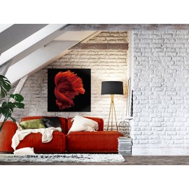 Schuller, Fotografia Rojo Siam 100x100 798642