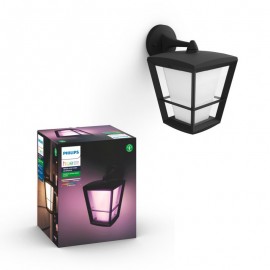 Aplique Exterior Econic Hue Waca Down Wall Lantern
