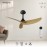Mantra Ventilador sin Luz - Negro-madera - 3 Palas Ipanema Negra-madera 9041