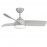Ventilador Haur DC Plata 107Ø 24w 3 Aspas Mando Memoria y temporizador 173391310