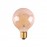 Mantra LED BOMBILLAS E27 6,5W 2200K 650lm G95 R09229